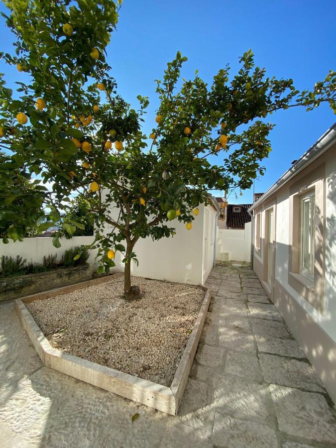 Se Velha Studios Coimbra Exteriér fotografie