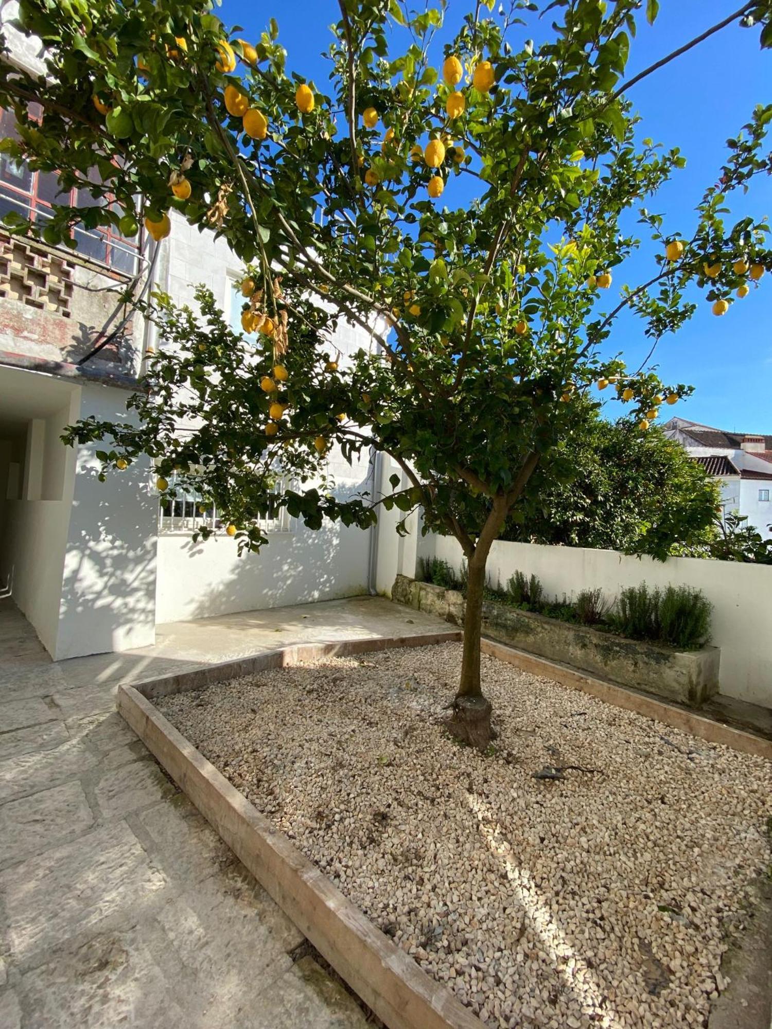 Se Velha Studios Coimbra Exteriér fotografie